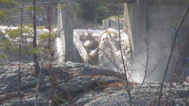 The River She&nbsp;Rises