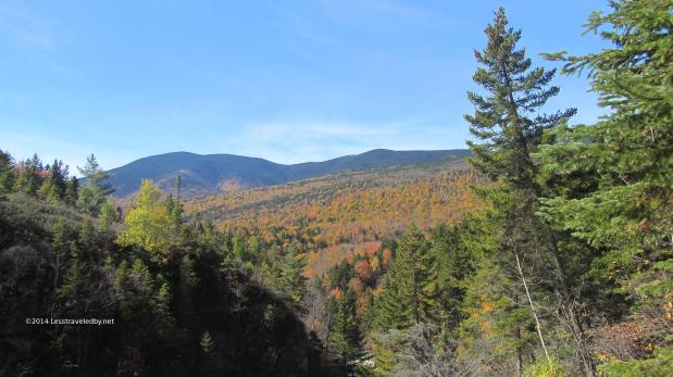 Solo Fall Colors in the&nbsp;Pemigewasset