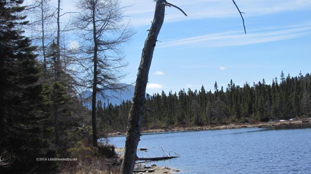 Stillwater-Shoal Pond-Thoreau Falls Loop April&nbsp;2016