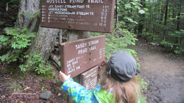 Baxter With the Girls – Roaring Brook June&nbsp;2016