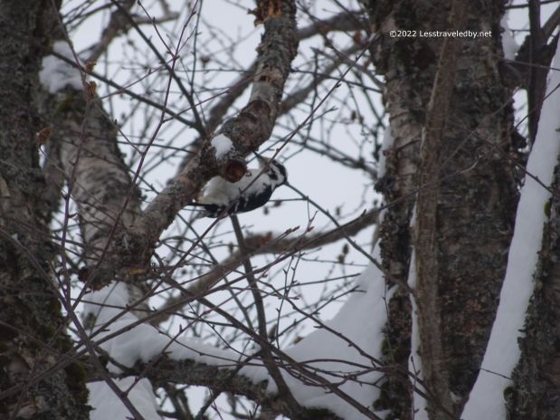 February Baldpate Overnight